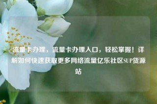 流量卡办理，流量卡办理入口，轻松掌握！详解如何快速获取更多网络流量亿乐社区SUP货源站