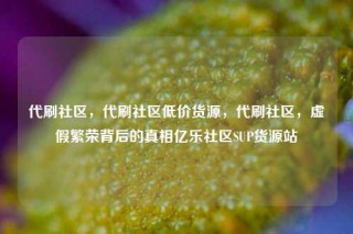 代刷社区，代刷社区低价货源，代刷社区，虚假繁荣背后的真相亿乐社区SUP货源站