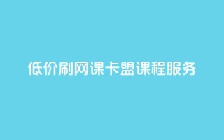 低价刷网课，卡盟课程服务