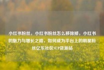 小红书粉丝，小红书粉丝怎么移除掉，小红书的魅力与增长之路，如何成为平台上的明星粉丝亿乐社区SUP货源站