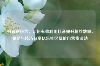 抖音刷粉丝，如何有效利用抖音提升粉丝数量，策略与技巧分享亿乐社区低价自营货源站