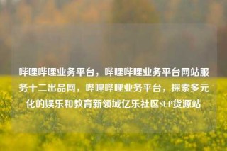 哔哩哔哩业务平台，哔哩哔哩业务平台网站服务十二出品网，哔哩哔哩业务平台，探索多元化的娱乐和教育新领域亿乐社区SUP货源站