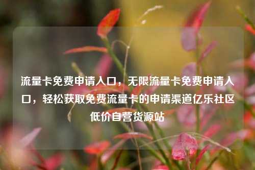 流量卡免费申请入口，无限流量卡免费申请入口	，轻松获取免费流量卡的申请渠道亿乐社区低价自营货源站  第1张