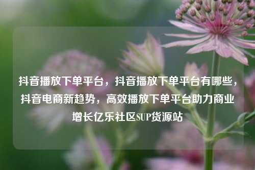 抖音播放下单平台，抖音播放下单平台有哪些	，抖音电商新趋势，高效播放下单平台助力商业增长亿乐社区SUP货源站  第1张
