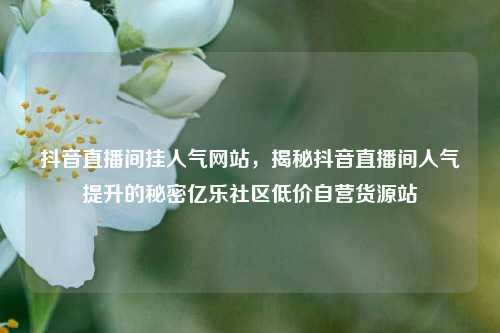 抖音直播间挂人气网站，揭秘抖音直播间人气提升的秘密亿乐社区低价自营货源站  第1张