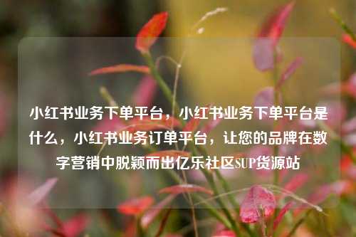 小红书业务下单平台	，小红书业务下单平台是什么，小红书业务订单平台，让您的品牌在数字营销中脱颖而出亿乐社区SUP货源站  第1张