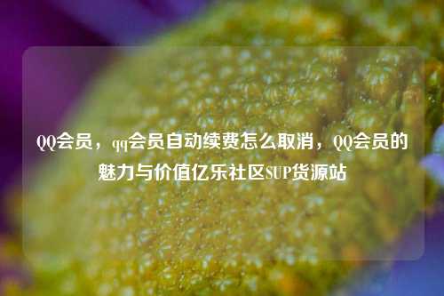 QQ会员，qq会员自动续费怎么取消，QQ会员的魅力与价值亿乐社区SUP货源站  第1张