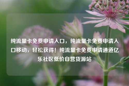 纯流量卡免费申请入口，纯流量卡免费申请入口移动，轻松获得！纯流量卡免费申请通道亿乐社区低价自营货源站  第1张