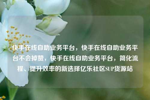 快手在线自助业务平台	，快手在线自助业务平台不会掉赞，快手在线自助业务平台，简化流程、提升效率的新选择亿乐社区SUP货源站  第1张