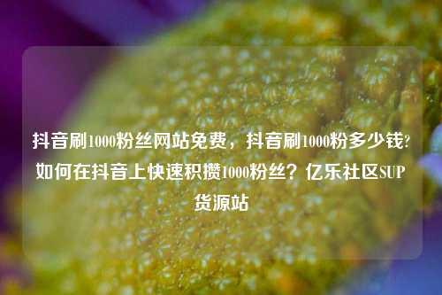 抖音刷1000粉丝网站免费，抖音刷1000粉多少钱?如何在抖音上快速积攒1000粉丝？亿乐社区SUP货源站  第1张