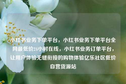 小红书业务下单平台，小红书业务下单平台全网最低价24小时在线，小红书业务订单平台	，让用户体验无缝衔接的购物体验亿乐社区低价自营货源站  第1张
